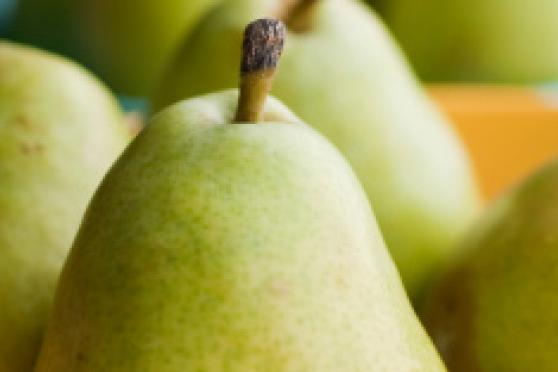 Photo: Bowl of fresh green pears