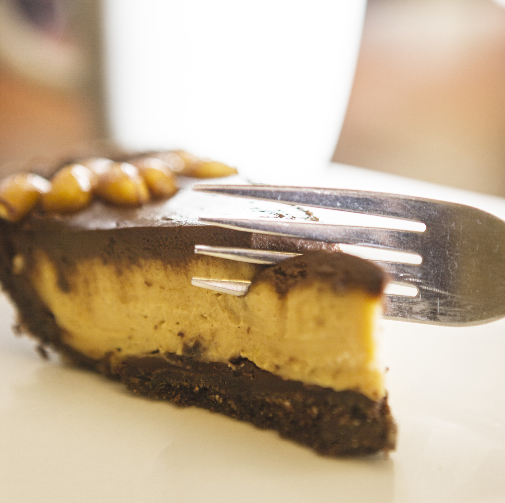 Chocolate Peanut Butter Pie