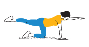 Illustration: Bird Dog exercise.