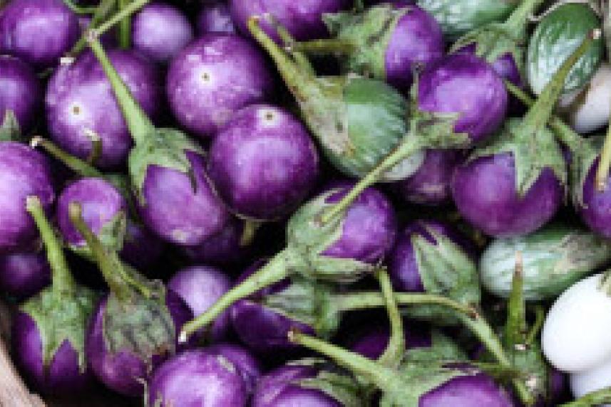 Photo: Basket of purple vegetables