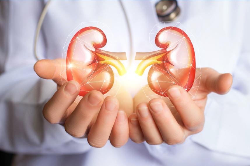 kidney health 