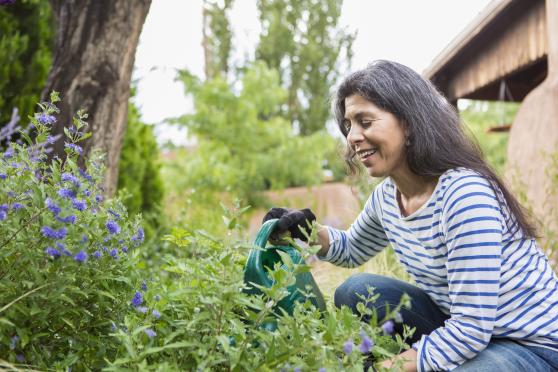 A woman squats down near the edge of her garden bed, wearing gardening gloves and holding a watering can she's using to tend her flowers.