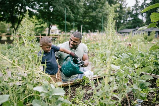 Father and son watering plants